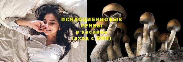 соль курить ск Ростов