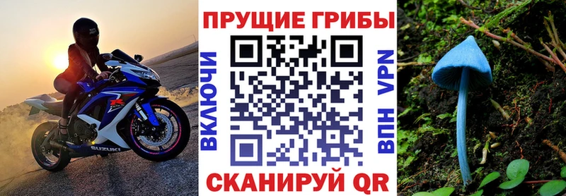 Псилоцибиновые грибы мухоморы  купить   Канаш 